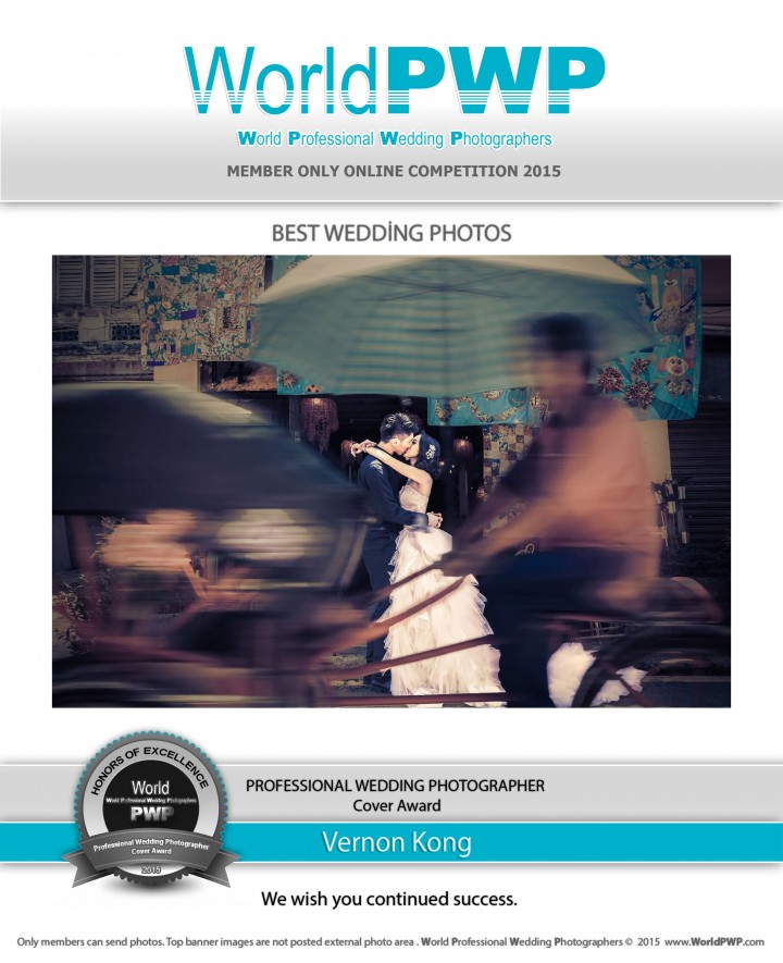 World Professional Wedding Photographers