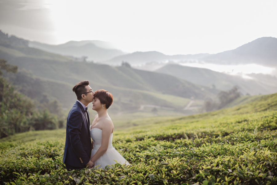 pre-wedding-at-cameron-highlands-7120