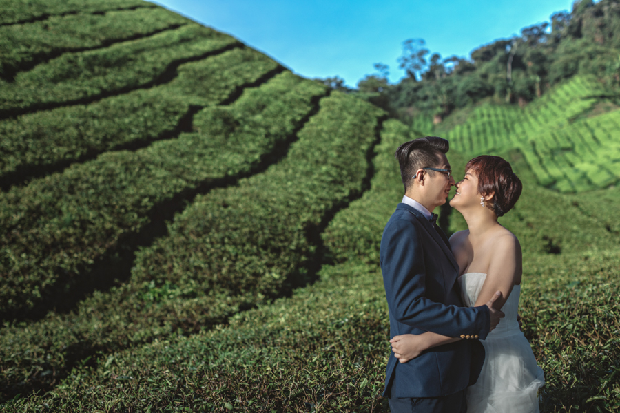 pre-wedding-at-cameron-highlands-7166