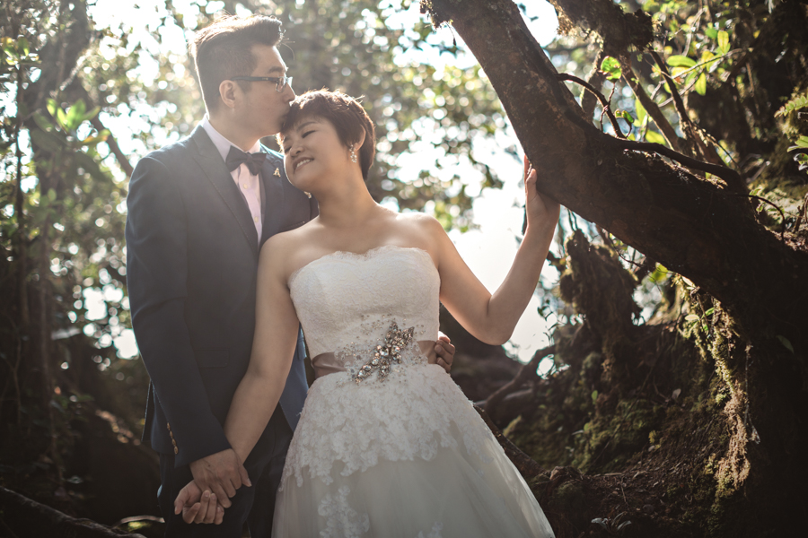 pre-wedding-at-cameron-highlands-7267