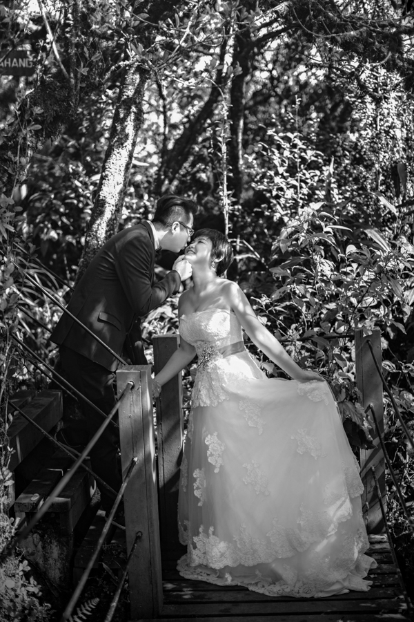 pre-wedding-at-cameron-highlands-7312