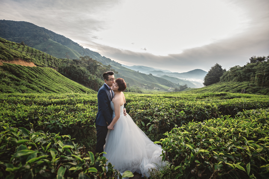 Pre Wedding at Cameron Highlands