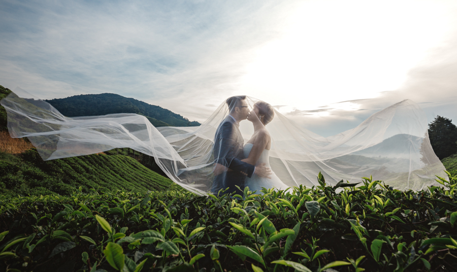 pre-wedding-at-cameron-highlands-7649