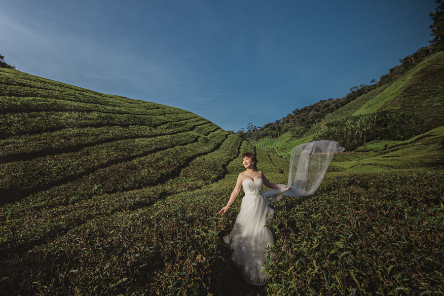 pre-wedding-at-cameron-highlands-7677