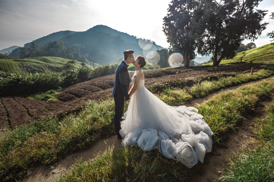 pre-wedding-at-cameron-highlands-7711