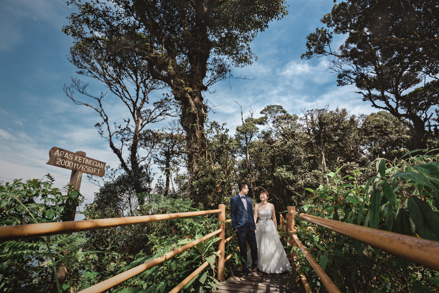 pre-wedding-at-cameron-highlands-7779