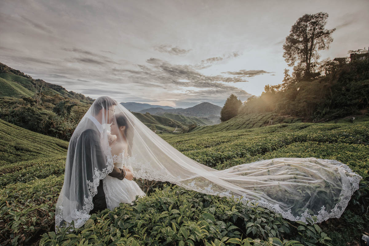 Cameron Highlands Pre Wedding